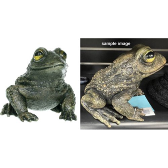 Image sur 9.5" GREEN FROG