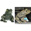 Image de 9.5" GREEN FROG