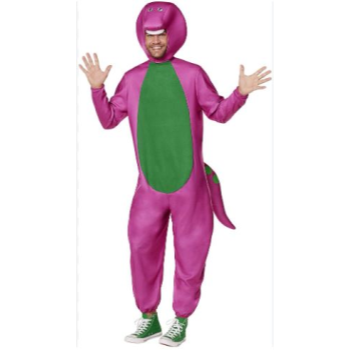 Image de BARNEY - ADULT ONE SIZE