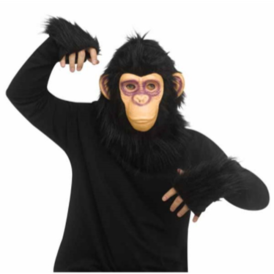 Image sur ANIMALS - MONKEY KIT WITH MITTENS 