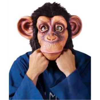 Image de ANIMALS - COMICAL CHIMP MASK
