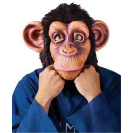 Image sur ANIMALS - COMICAL CHIMP MASK