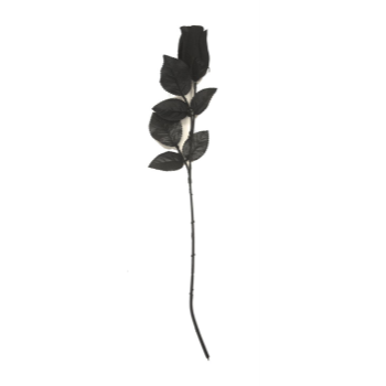 Image de DECOR - 17" BLACK ROSES