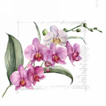 Image de TABLEWARE - PINK ORCHID STEM - LUNCHEON NAPKIN