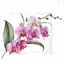 Picture of TABLEWARE - PINK ORCHID STEM - LUNCHEON NAPKIN