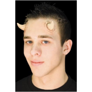 Picture of HORNS - SMALL UNIVERSAL USE