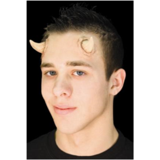 Picture of HORNS - SMALL UNIVERSAL USE