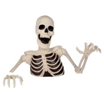 Picture of 3' OVERSIZED SKELETON GROUNDBREAKER