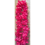 Picture of WEARABLES - LEI 6 PACK - HOT PINK