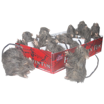 Image de 5" REALISTIC RATS
