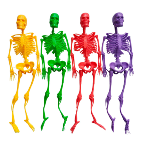 Picture of 13" Neon Skeleton 4pkg