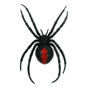 Image de 4.9" Magnetic Black Widow Spider