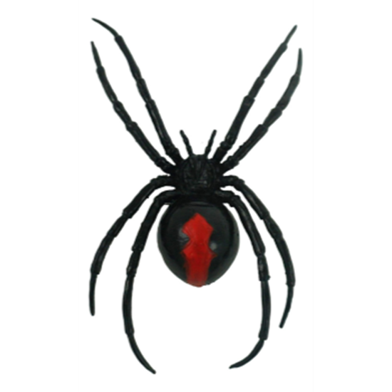Picture of 4.9" Magnetic Black Widow Spider