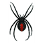 Picture of 4.9" Magnetic Black Widow Spider