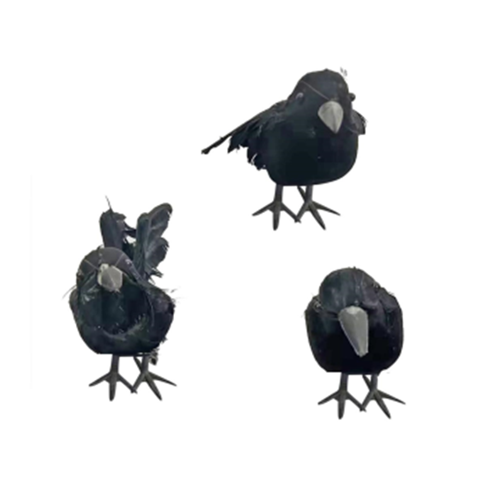 Picture of 6" CROW