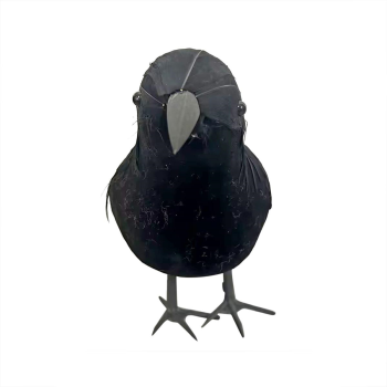 Image de 9.5" CROW