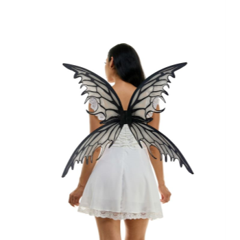 Image de WINGS - Distressed Black Butterfly Wings