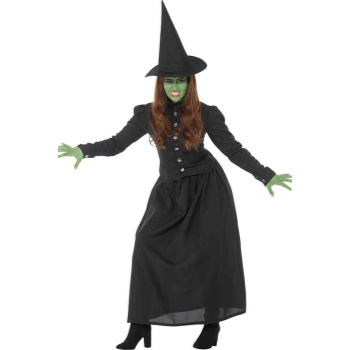 Image de WICKED WITCH - ADULT SMALL