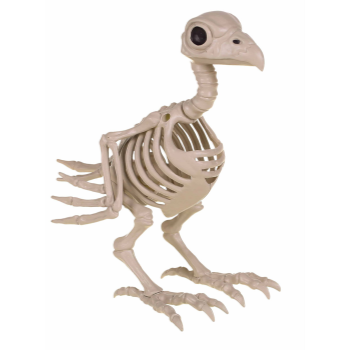 Picture of SKELETON CROW