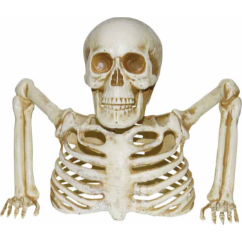 Image de 8" SKELETON GROUND- BREAKER