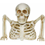 Image de 8" SKELETON GROUND- BREAKER