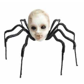 Image de BABY HEAD SPIDER