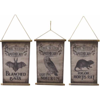 Image de VINTAGE HALLOWEEN CANVAS - ASSORTED