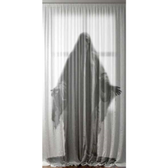 Picture of 6.5' DOOR CURTAIN GHOST