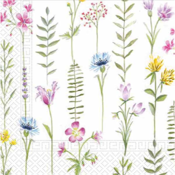 Image de LUNCHEON NAPKIN 3PLY - BOTANICAL
