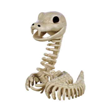 Image de 6.5" SKELETON SNAKE