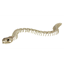 Picture of 36" LONG SKELETON SNAKE