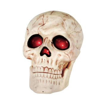 Image de 10" LIGHT UP SKELETON SKULL