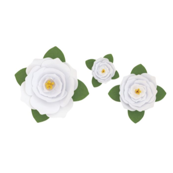 Picture of GARDEN PARTY - WHITE PAPER FLOWERS KIT