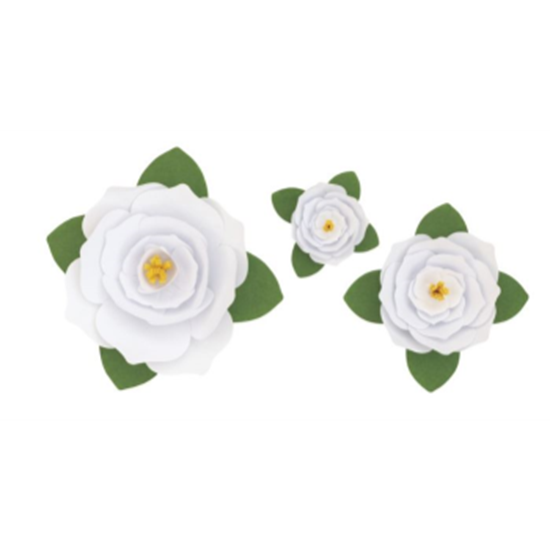 Picture of GARDEN PARTY - WHITE PAPER FLOWERS KIT