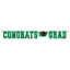Picture of DECOR - Large Foil Letter Banner - Green