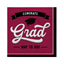 Picture of TABLEWARE - School Spirit Luncheon Napkins - Maroon
