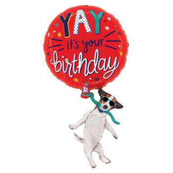 Image de 38" YAY BIRTHDAY DOG