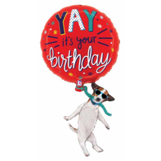 Image sur 38" YAY BIRTHDAY DOG