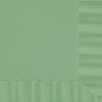 Image de JADE LUNCHEON NAPKINS 