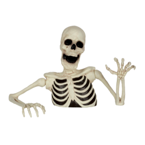 Picture of 8" TABLETOP SKELETON GROUNDBREAKER