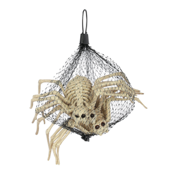 Image de 8" SKELETON SPIDERS 3PCS