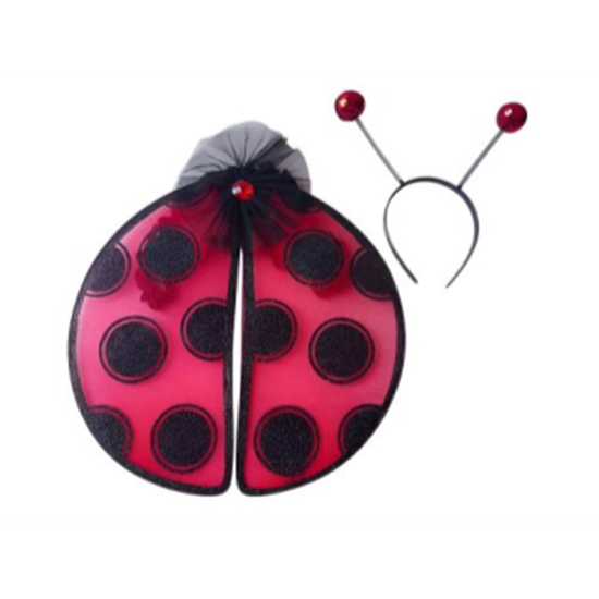 Picture of ANIMALS - LADY BUG KIT