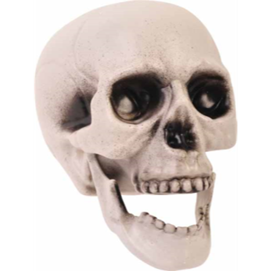 Picture of DECOR - 4" BAG OF SKULLS 6/PK