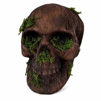 Image de MOSS DECAYING SKULL DECOR