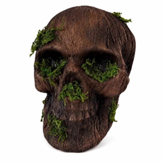 Image sur MOSS DECAYING SKULL DECOR