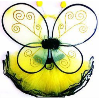 Image de ANIMALS - Bumblebee Set Tutu, Wings and Headband