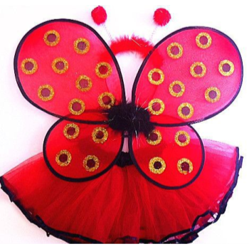 Image de ANIMALS - Ladybug Set Tutu, Wings and Headband